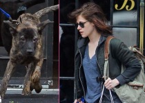 Kristen Stewart quiere quedarse con "Bear"